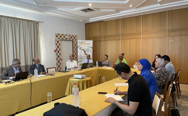  Réunion d&rsquo;avancement – Project BCT